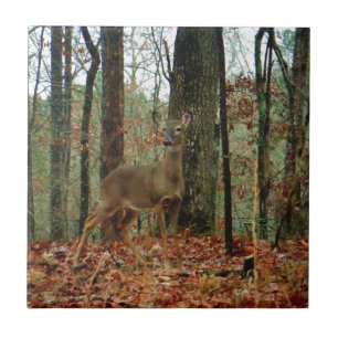 Camo,Camouflage Deer Ceramic Tile
