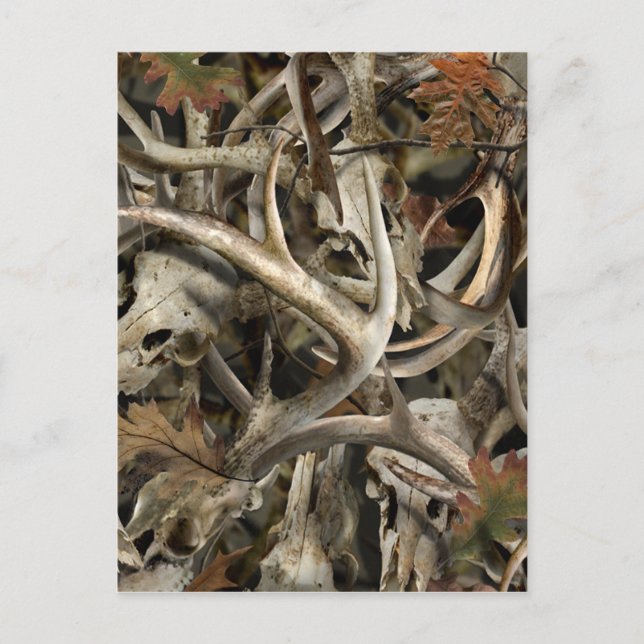 Camo Deer Skulls Postcard (Front)
