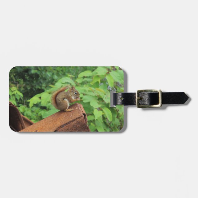 Camo Squirrel Luggage Tag (Front Horizontal)