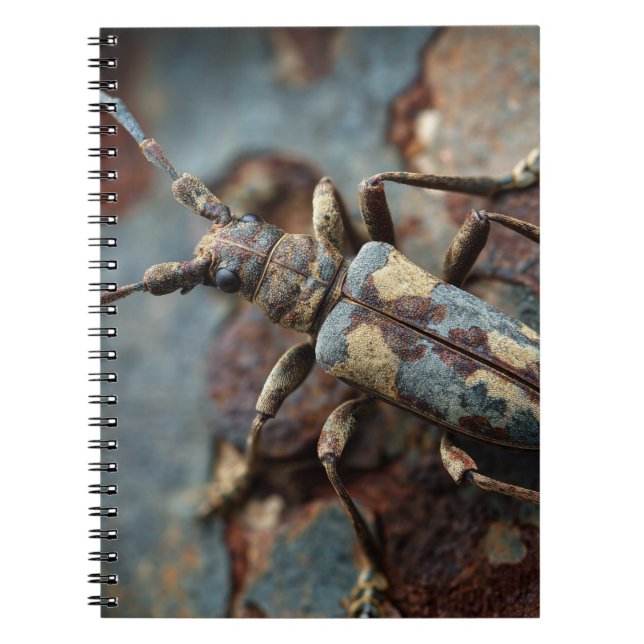 Camouflage Beetle Bark Notebook (Front)