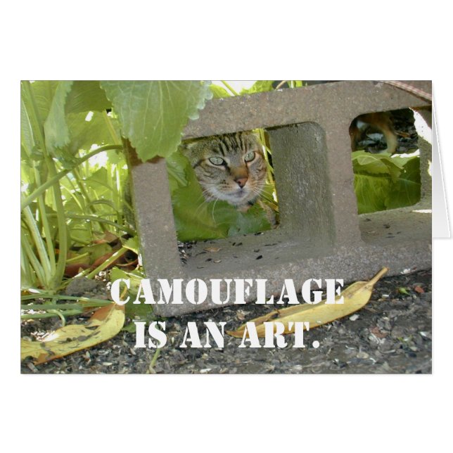 Camouflage Cat (Front Horizontal)