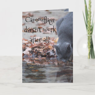 Camouflage Doesn't Work After All Card