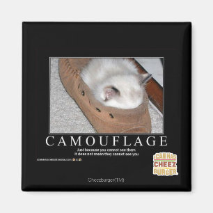 Camouflage Magnet