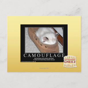 Camouflage Postcard