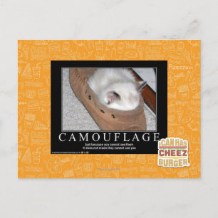Camouflage Postcard