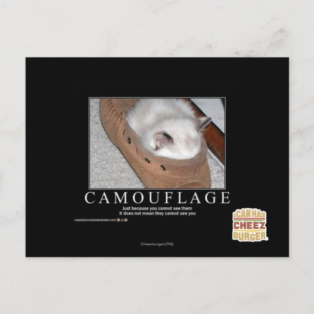 Camouflage Postcard (Front)