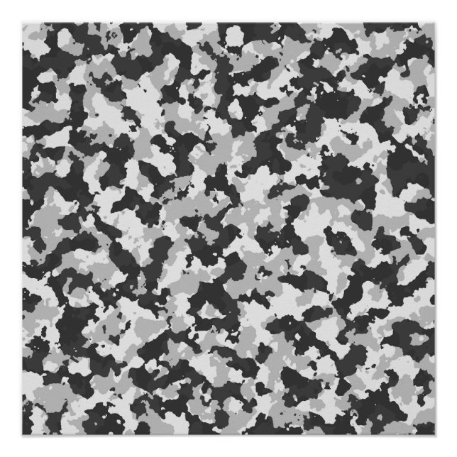 camouflage poster (Front)