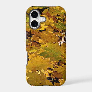 CAMOUFLAGE WITH LEAVES IN LATE FALL