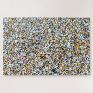 Camouflaged Ghost Crab on a Kauai Beach, Hawaii Jigsaw Puzzle