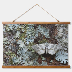 Camouflaged Moth Lichen Forest Wall Art