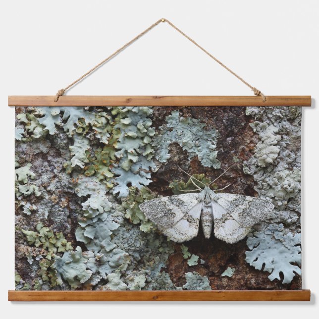 Camouflaged Moth Lichen Forest Wall Art (Front)