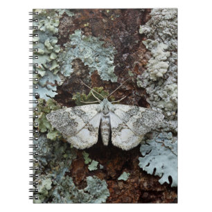 Camouflaged Moth Lichen Notebook