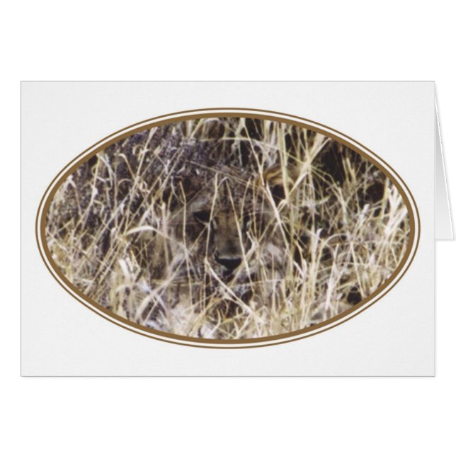 Camouflaged Simba (Lion) (Front Horizontal)