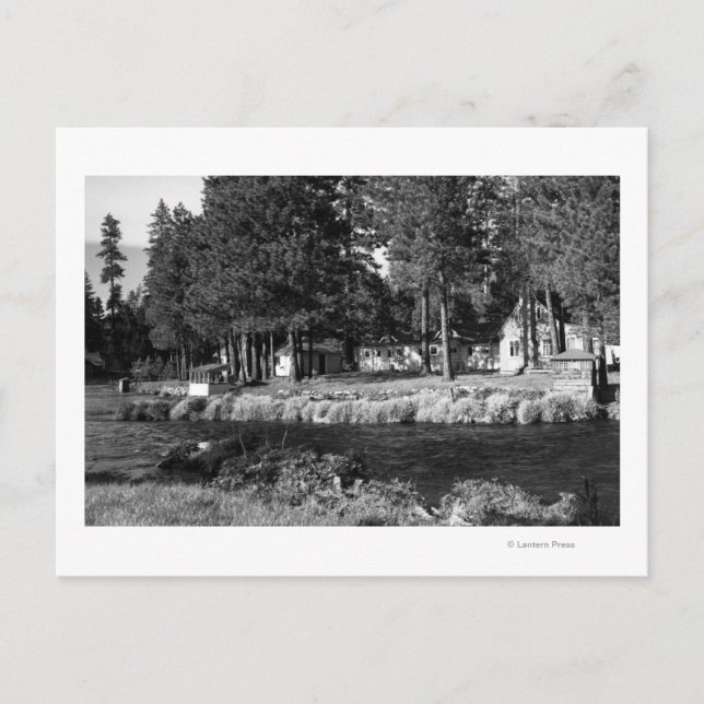 Camp Sherman, Oregon view of Rogers Cabins Postcard (Front)