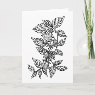 Campanula (Bellflower) Colour it Yourself Blank Card