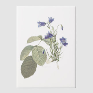 Campanula Bluebell Botanical Overlay Vellum Invitations
