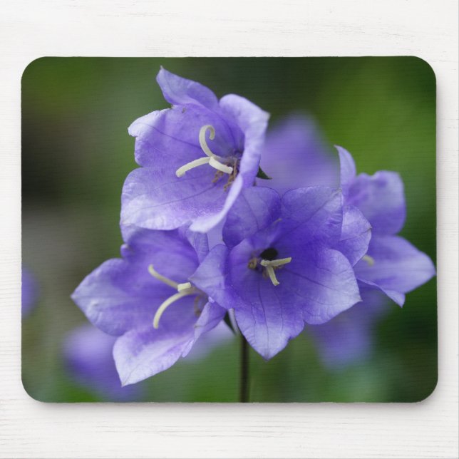 Campanula Mouse Pad (Front)