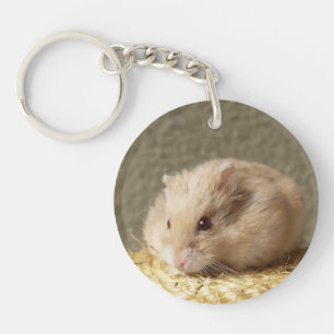 Campbells Dwarf Russian Hamster, Argente Key Ring