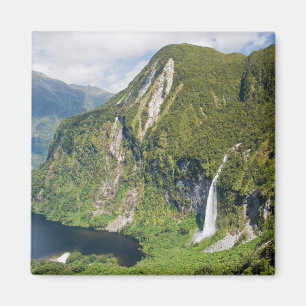 Campbells Kingdom, Doubtful Sound, Fiordland Magnet