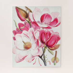 Campbell's Magnolia Jigsaw Puzzle
