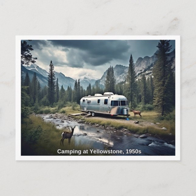 Camping at Yellowstone 1950s Scene Postcard (Front)