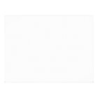 Camping Bear and Mice Roasting Marshmallows