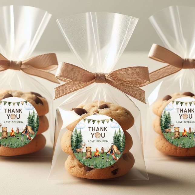 Camping Birthday Party Thank You Classic Round Sticker (Camping Birthday Party Thank You Classic Round Sticker
)