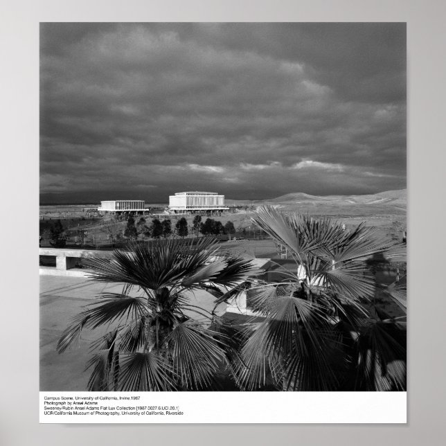 Campus Scene, UC Irvine, 1967 Poster (Front)