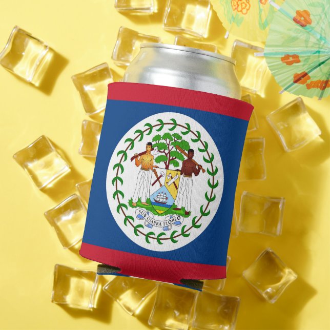 Can Cooler with flag of Belise (In Situ Summer)