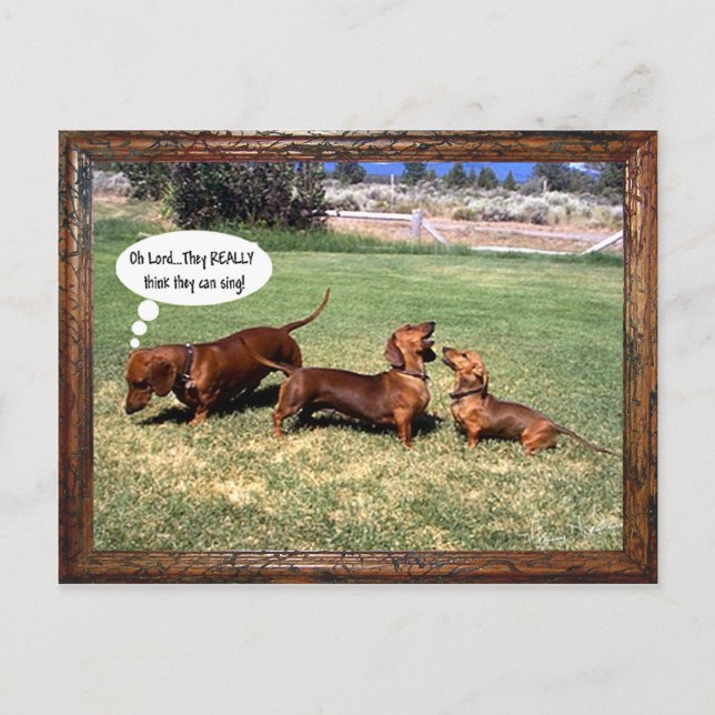 Can Doxies Sing? Maybe not............ Postcard (Front)