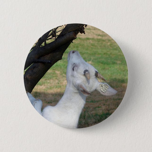 Can I Climb This Tree? 6 Cm Round Badge (Front)