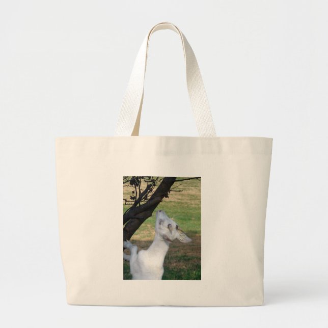 Can I Climb This Tree? Large Tote Bag (Front)
