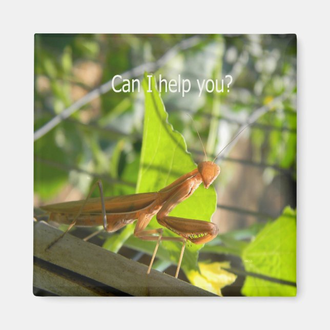 Can I help you?... Magnet (Front)
