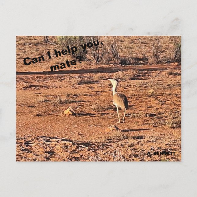 Can I help you, mate? Postcard (Front)
