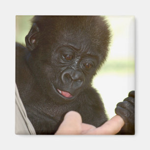 Can I hold your hand? Magnet