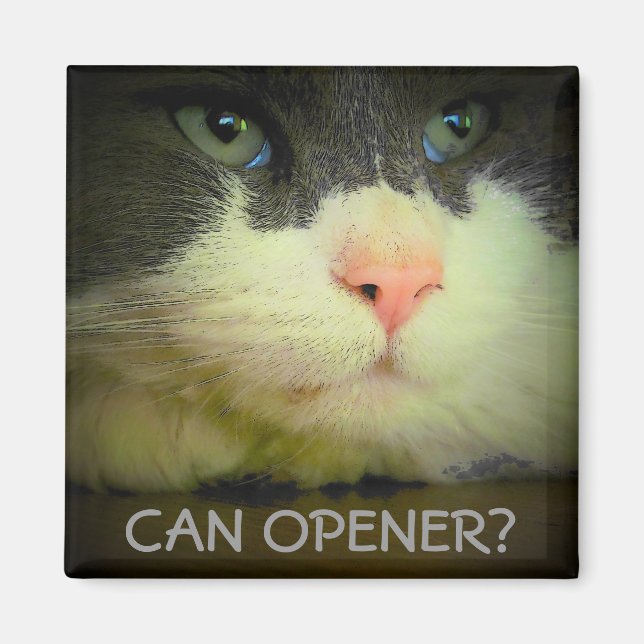 Can Opener? Magnet (Front)