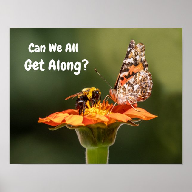 Can We All Get Along? Poster (Front)