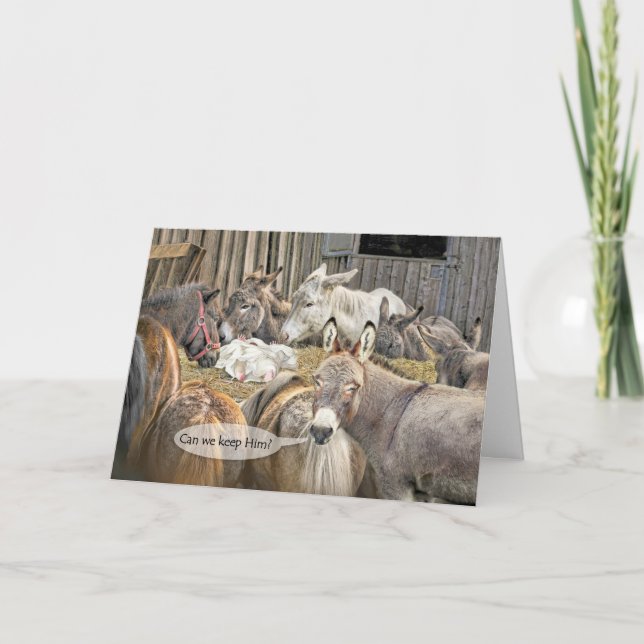 Can We Keep Him? Donkeys with Baby Jesus Christmas Card (Front)