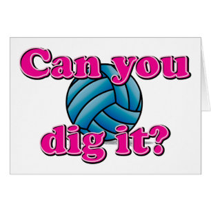 Can you dig it? Volleyball!