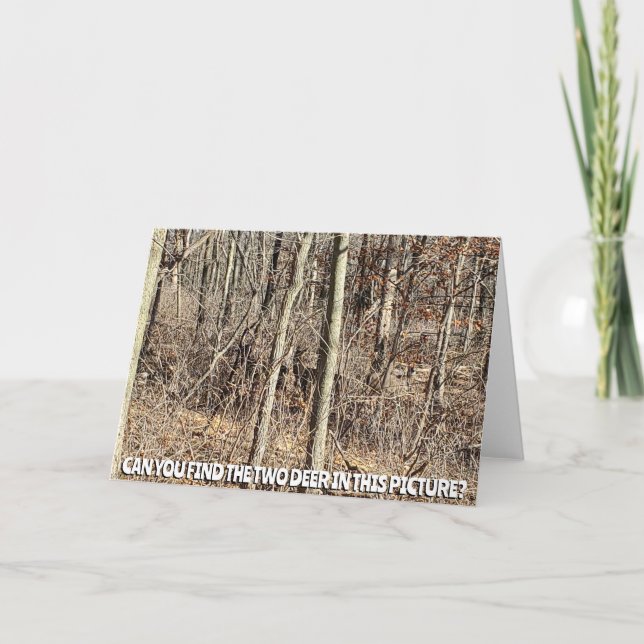 Can You Find the Two Deer in this Picture? Card (Front)