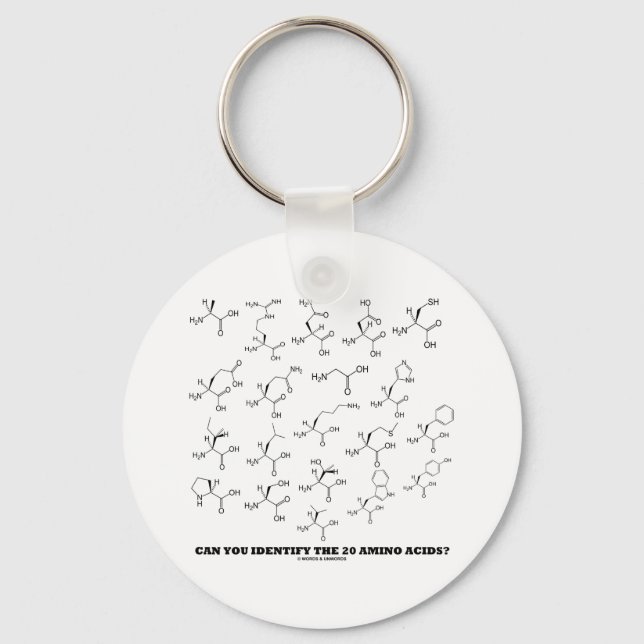 Can You Identify The 20 Amino Acids? (Chemistry) Key Ring (Front)