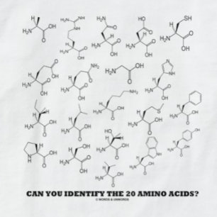 Can You Identify The 20 Amino Acids? Chemistry T-Shirt