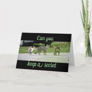 CAN YOU KEEP A SECRET / surprise party card