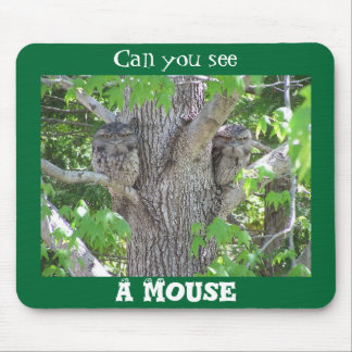Can you see a mouse? mouse pad