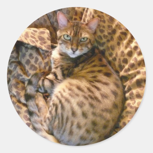 Can you see me? classic round sticker (Front)