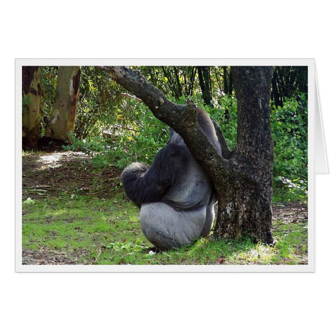 "Can you see me now?" (Front Horizontal)