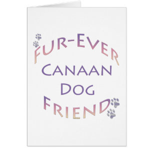 Canaan Dog Furever