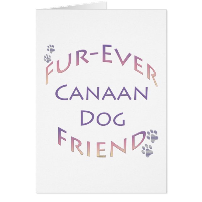 Canaan Dog Furever (Front)