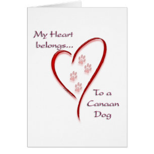 Canaan Dog Heart Belongs