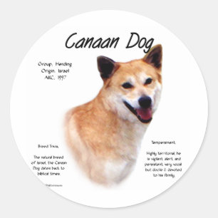 Canaan Dog History Design Classic Round Sticker